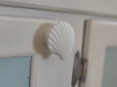 Sea Shell cabinet knob