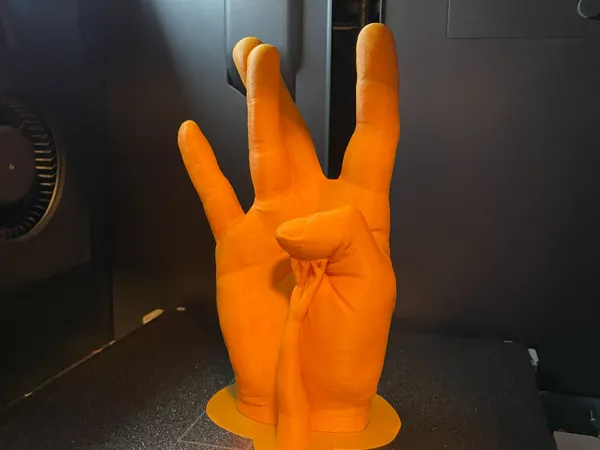 https://makerworld.bblmw.com/makerworld/model/USc5269996f3b619/design/2025-02-22_c9944990f50f7.jpeg
