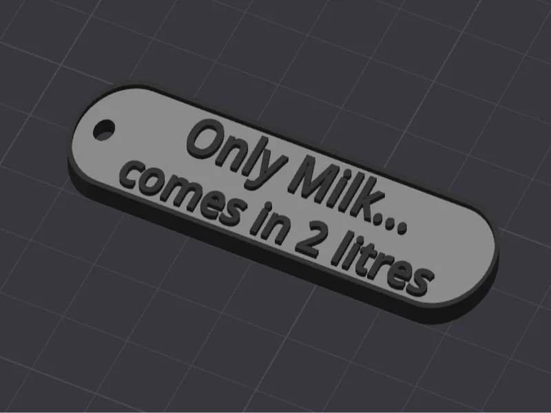 Keychain "Only Milk comes in 2 litres"