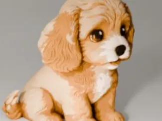 cute dog model