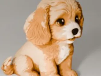 cute dog model