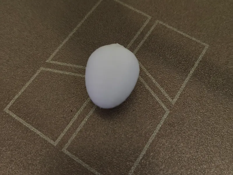 chicken egg