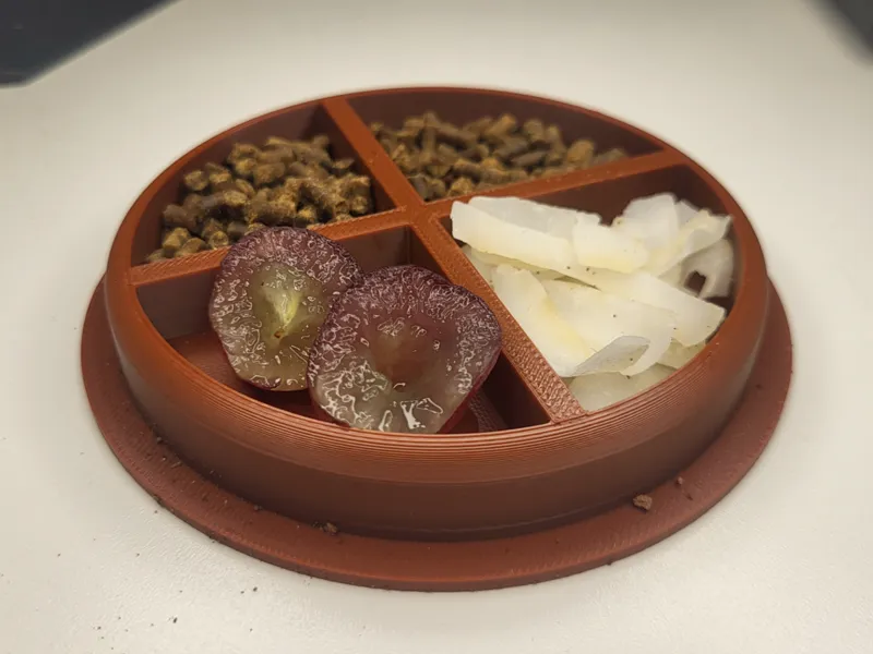 hermit crab food dish 3in