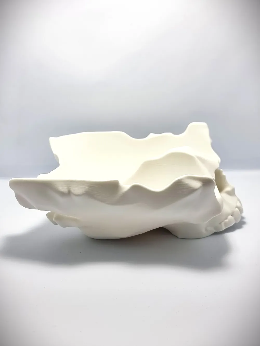 Skull Fruit Bowl by OverhangOverlord MakerWorld: Download Free 3D Models