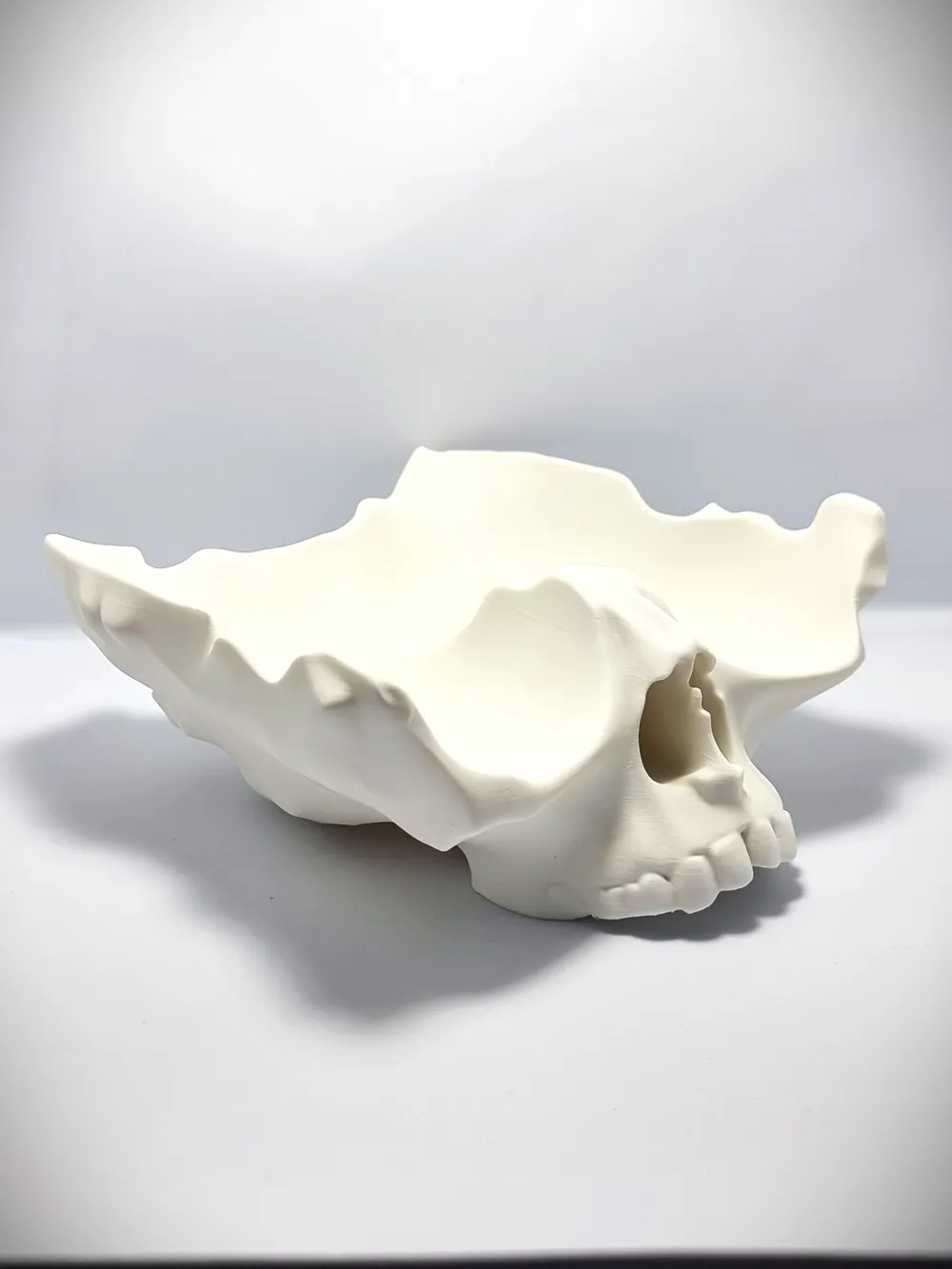 Skull Fruit Bowl by OverhangOverlord MakerWorld: Download Free 3D Models