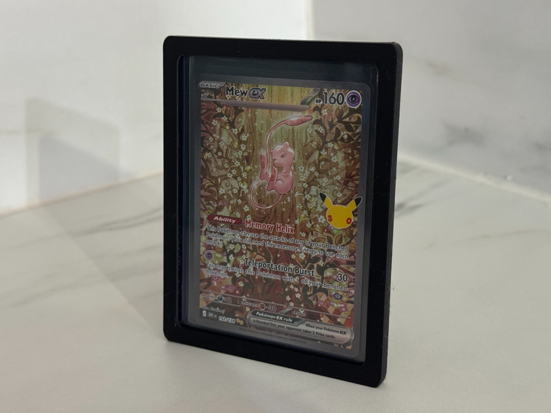 Toploader Case Stand Holder - 1