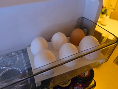 Egg holder for fridge 6 Eggs