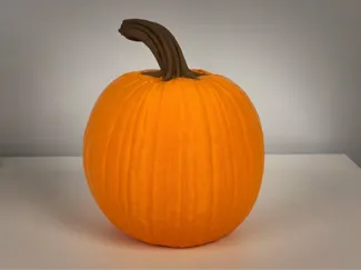 Large Hollow Pumpkin