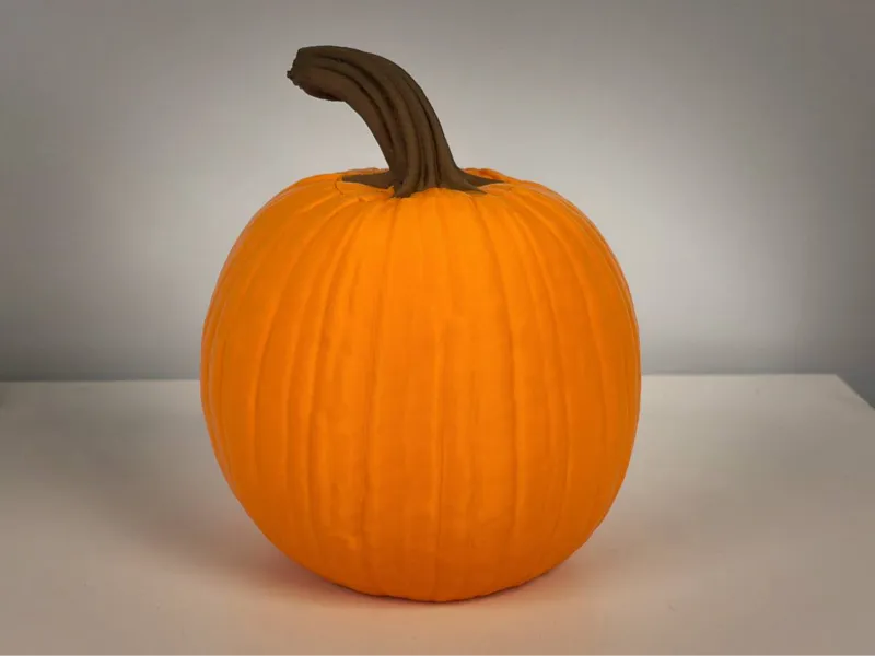 Large Hollow Pumpkin