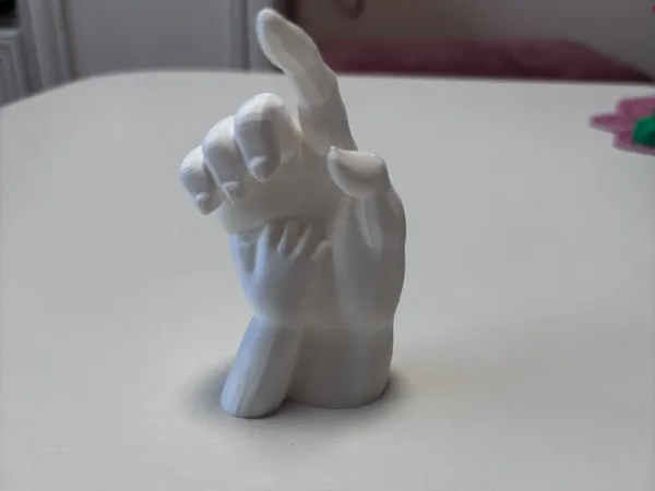 https://makerworld.bblmw.com/makerworld/model/USc54c1d56c30a4f/design/2025-05-05_bb2d823c0e77b.jpg