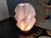 Lampshade PETG