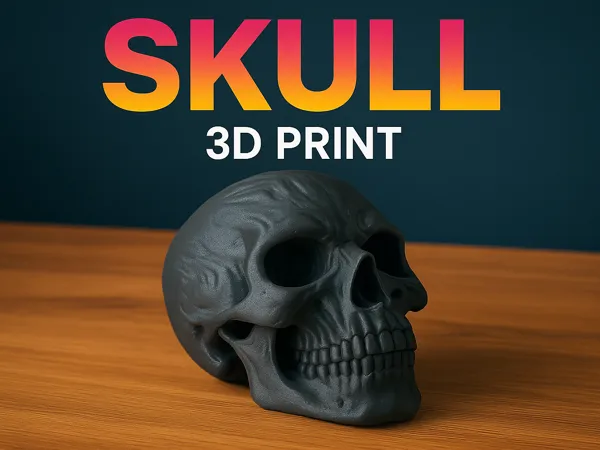 https://makerworld.bblmw.com/makerworld/model/USc55253b06c406f/design/2025-05-23_2002f93edfbc9.png