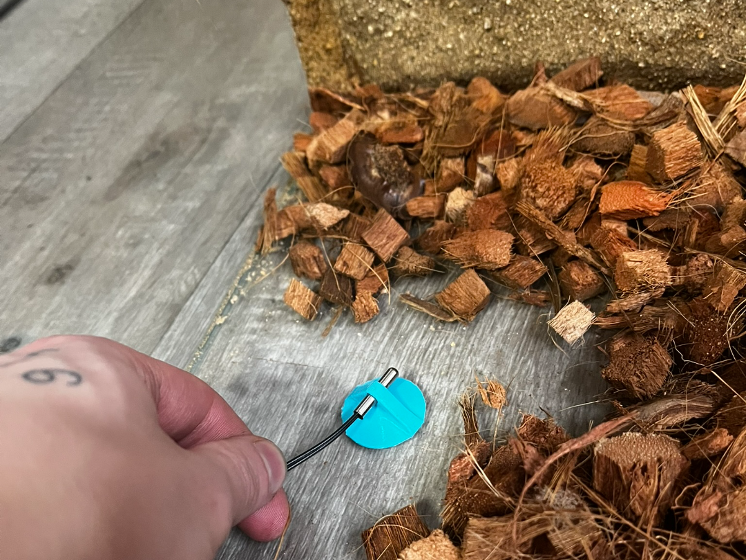 Terrarium thermostat holder