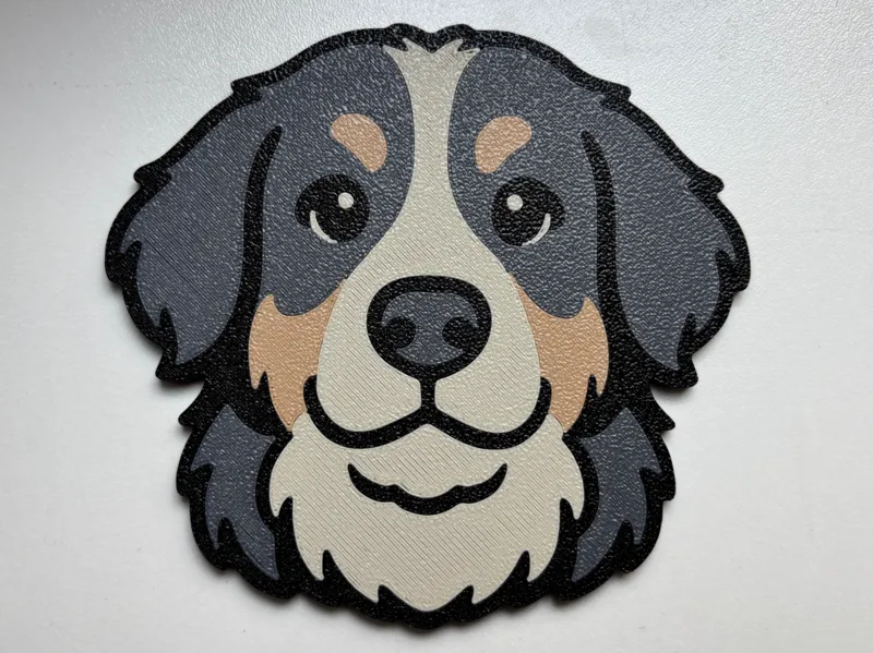 Berner Sennenhund Coaster