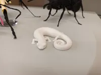 full white 0.08mm layer, 4 walls, 15% infill
