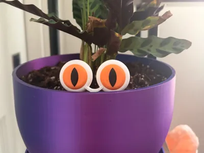Cat Eye Plant Decor – Fun Pot Insert for Plants