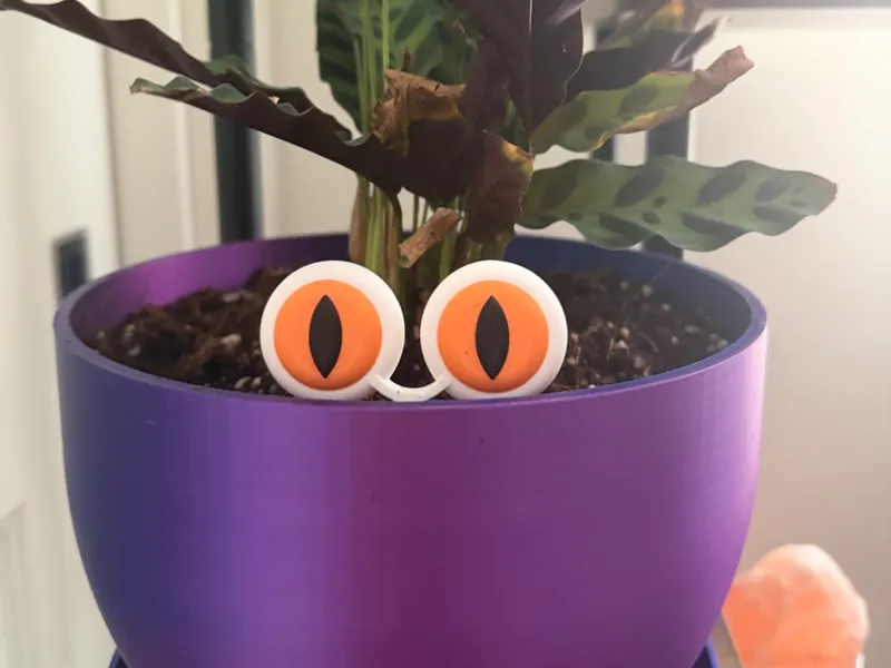 Cat Eye Plant Decor – Fun Pot Insert for Plants