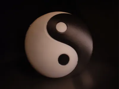 Yin Yang Puzzle
