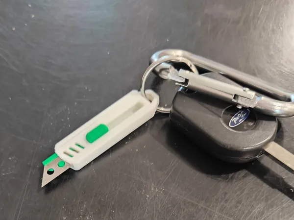 https://makerworld.bblmw.com/makerworld/model/USc55e4356f92e78/design/2025-07-04_83a3967fee008.jpg
