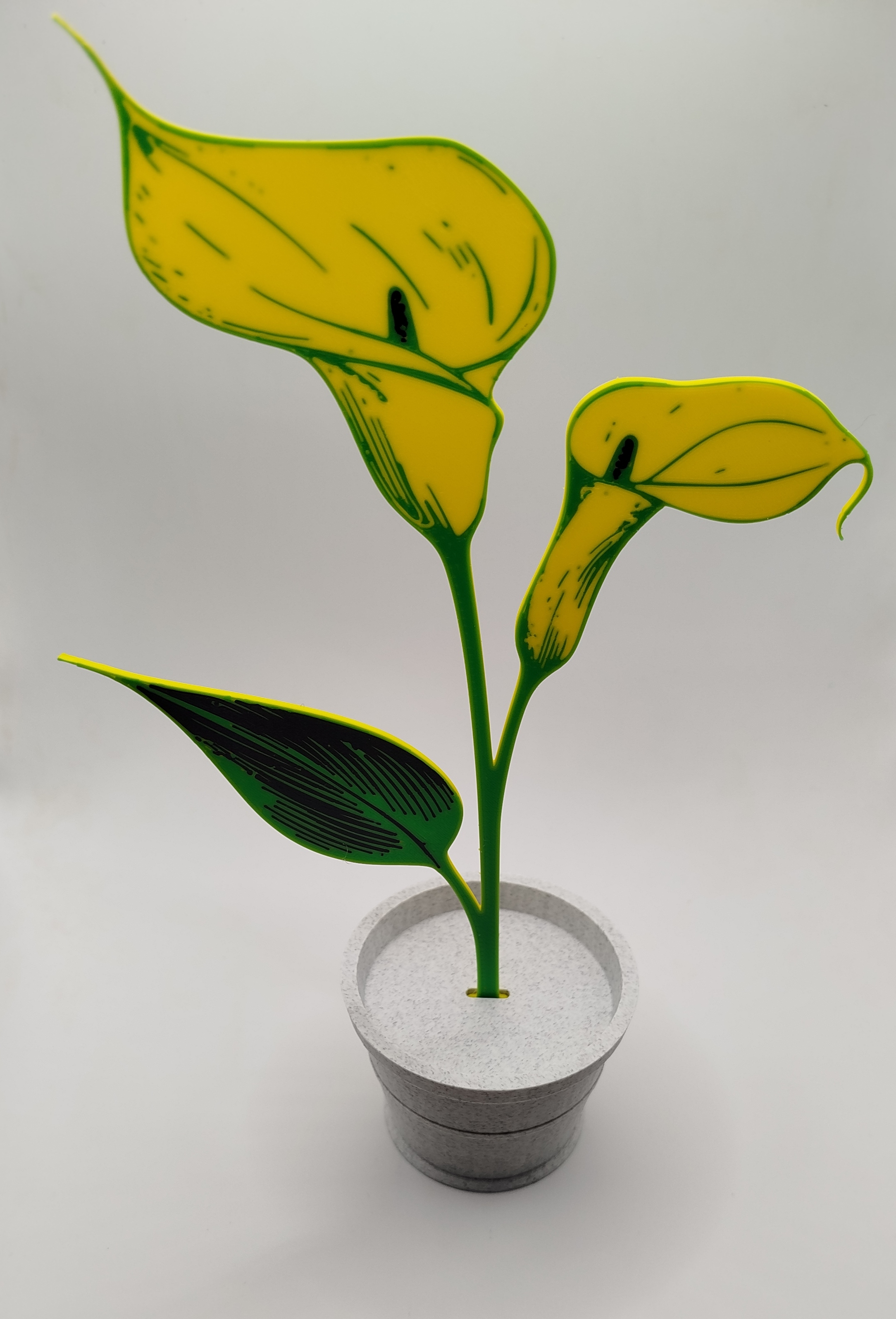 Miniatura 5 do modelo 3D Lilien im Topf