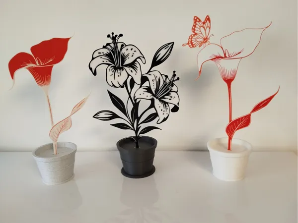 https://makerworld.bblmw.com/makerworld/model/USc5672be1a6024e/design/9e6ee2ef031f4e99.jpg