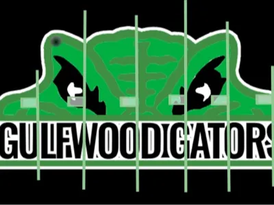 Gulfwood Gators Flexi Keychain