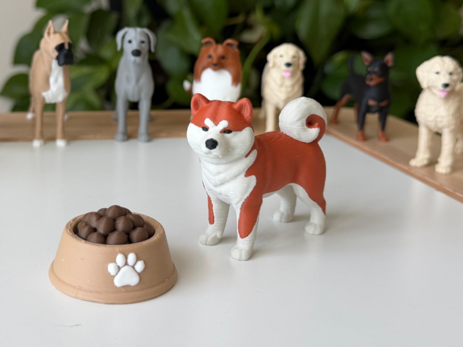 Akita Inu