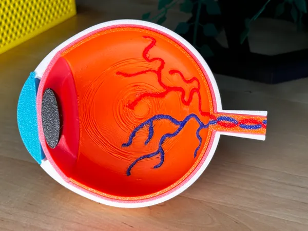 https://makerworld.bblmw.com/makerworld/model/USc56c5df40f38e9/design/2024-08-22_26c774ae40bc1.jpg