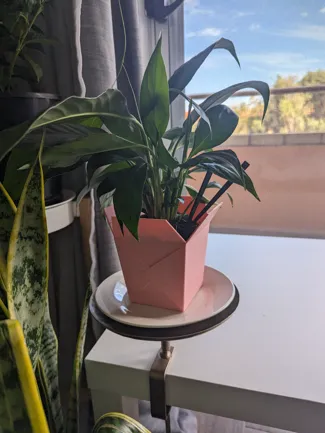 Takeout & Chop Sticks Plant Pot
