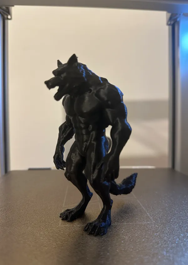 https://makerworld.bblmw.com/makerworld/model/USc57bfdd4933dda/design/2024-12-03_5d26b694962b18.jpeg