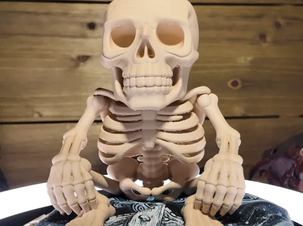 https://makerworld.bblmw.com/makerworld/model/USc580185e29dad0/design/2025-08-21_54b1e009c32d28.jpg