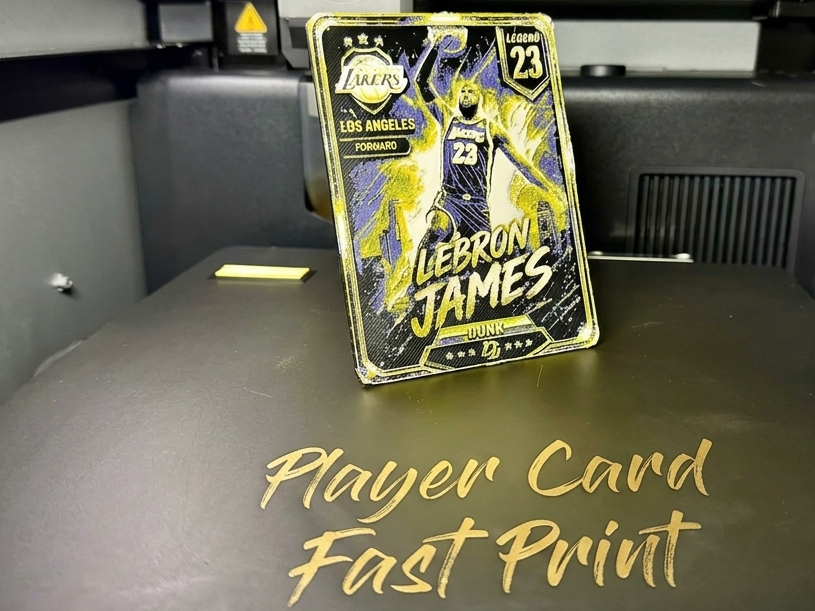 Lebron James Player Card