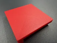 Print Surface Chip