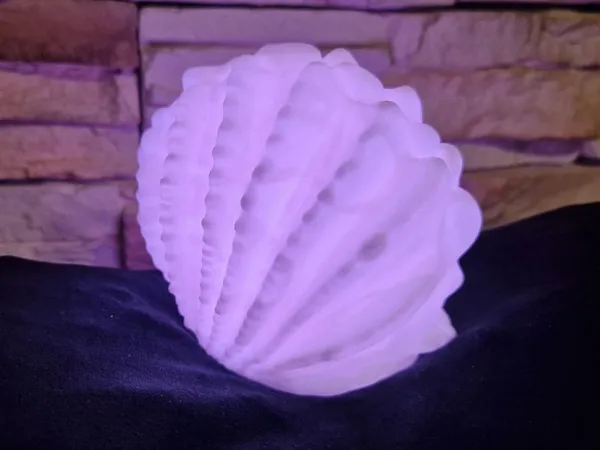 https://makerworld.bblmw.com/makerworld/model/USc584d062d512d8/design/2025-04-30_98f3ecb2b975d.jpg