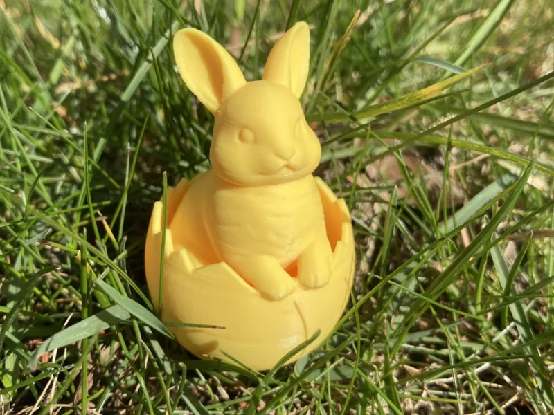 Hatched Easter bunny