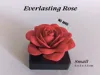 NO AMS - Small: 5 x 5 x 3.5 cm