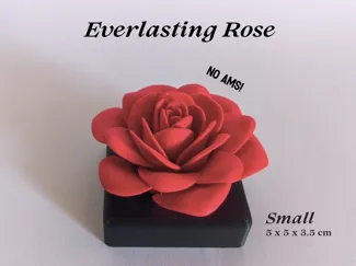 Everlasting Rose - perfect gift