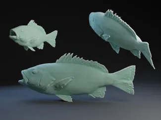 fish