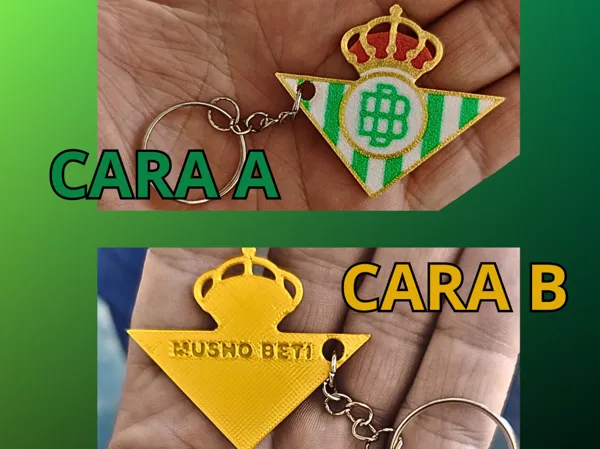 https://makerworld.bblmw.com/makerworld/model/USc58baf7e8da759/design/2025-05-21_290628475e70f.png