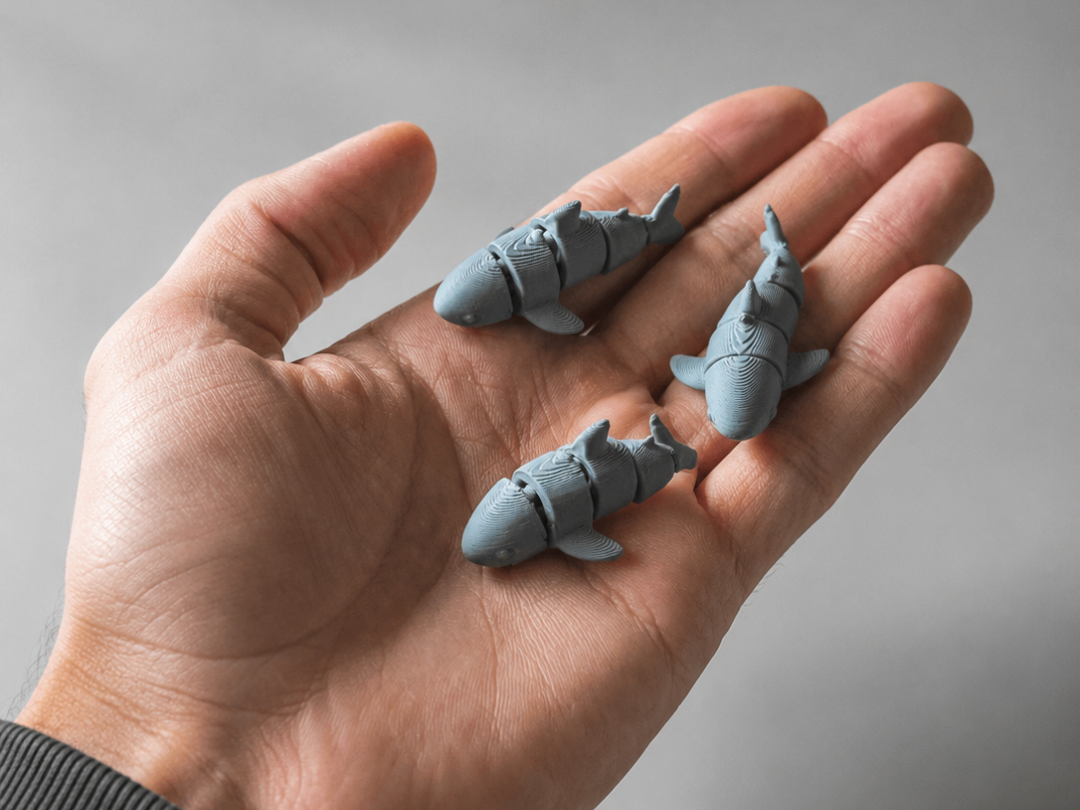 Tiny Shark