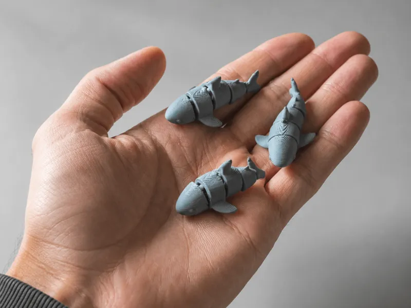 Tiny Shark