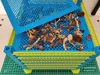 0.24mm layer, 2 walls, 15% infill
