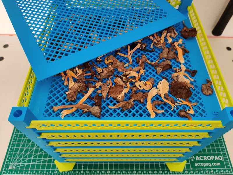 ESSICATORE FUNGHI ENERGIA SOLARE DIRETTA
