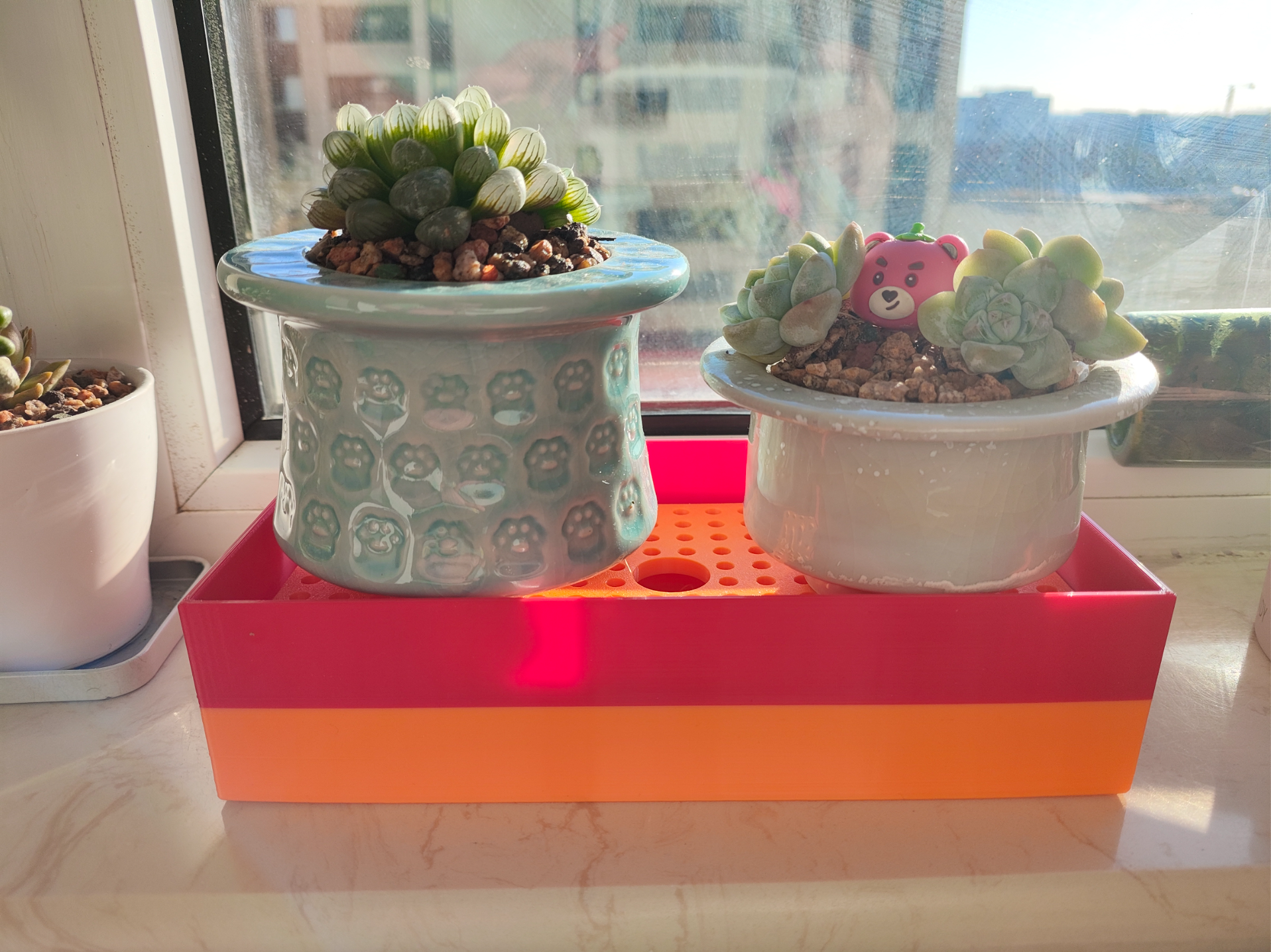 多肉植物沥水盒