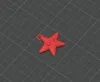 NO AMS, KEYCHAIN - STARFISH