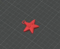 NO AMS, KEYCHAIN - STARFISH