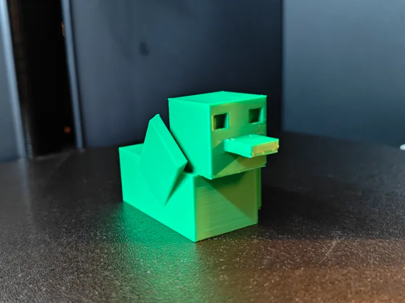 Duck