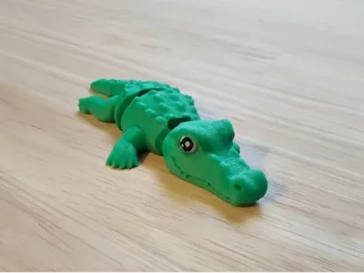 Baby Alligator