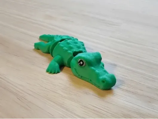 Baby Alligator