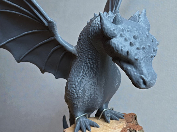 Majestätischer Drache 